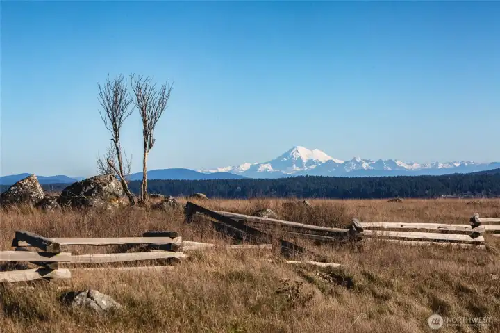 Expansive open landscape with distant snow-capped mountain views, highlighting the natural surroundings and Pacific Northwest scenery near this San Juan Island home.