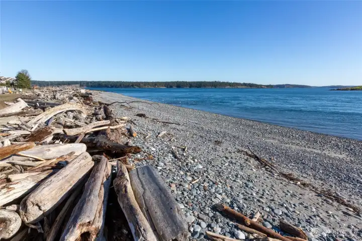 Wide pebble beach with driftwood shoreline along the Cape San Juan waterfront, capturing the peaceful marine setting of San Juan Island.