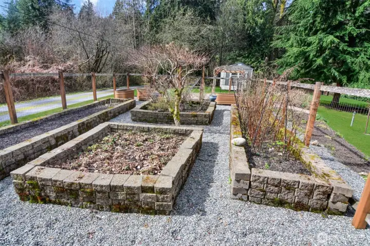 A sunny spot boasts this raised beds garden. Come see what is thriving here. Blueberries, Raspberries and more.