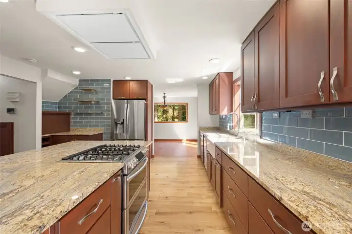totally remodeled kitchen with top of the line appliances