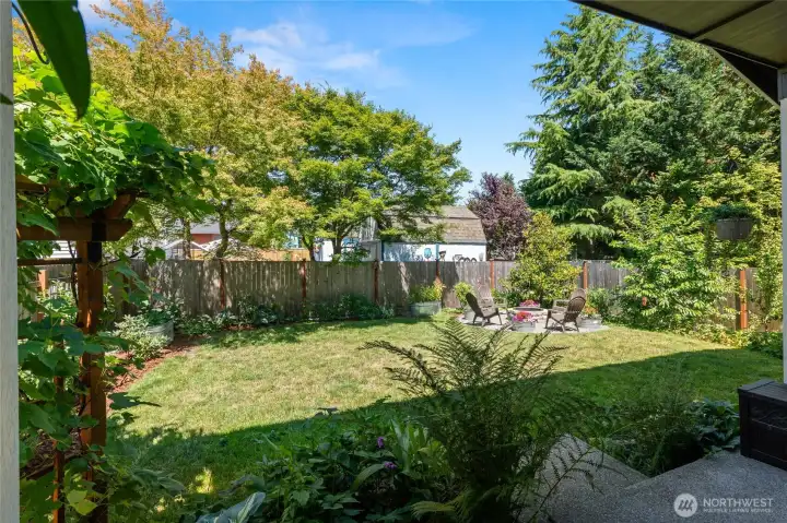 View from the back porch.