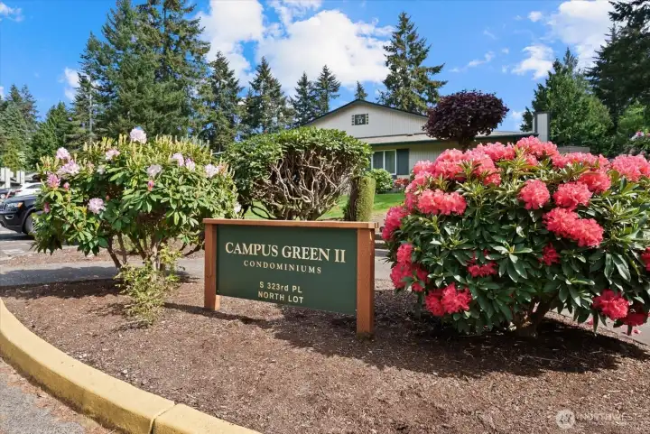 Gorgeous community landscaping, covered by HOA dues.