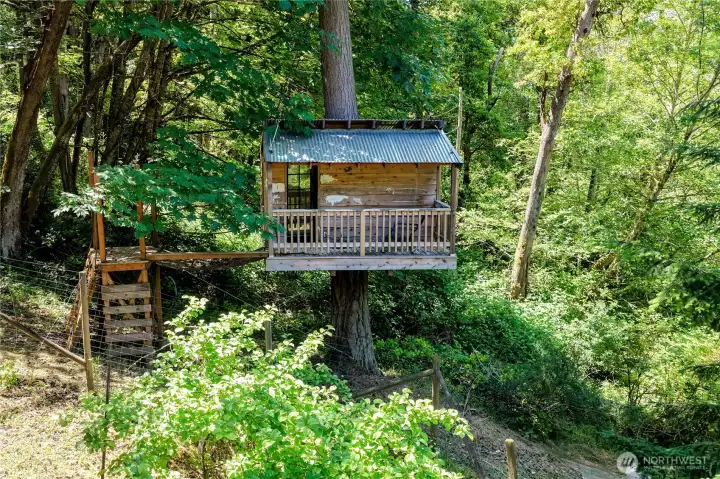 Treehouse