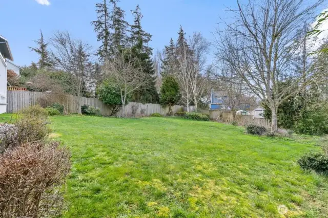 Large back yard!