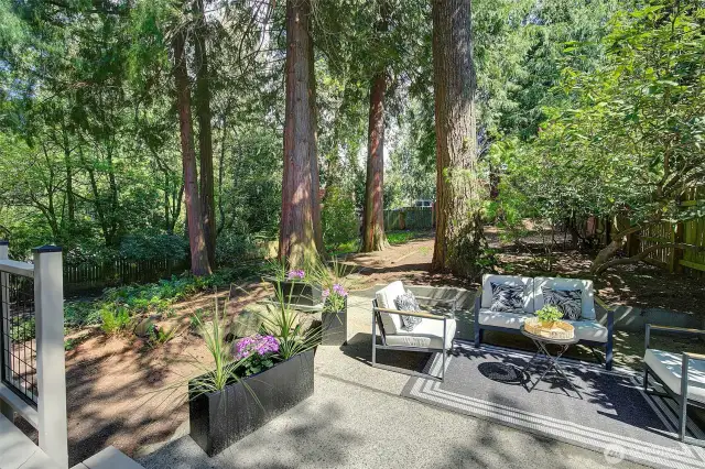 Many of these Rhododendron came from the Arboretum! There are Camelia, Lilacs, Lily of the Valley and even a pear tree.