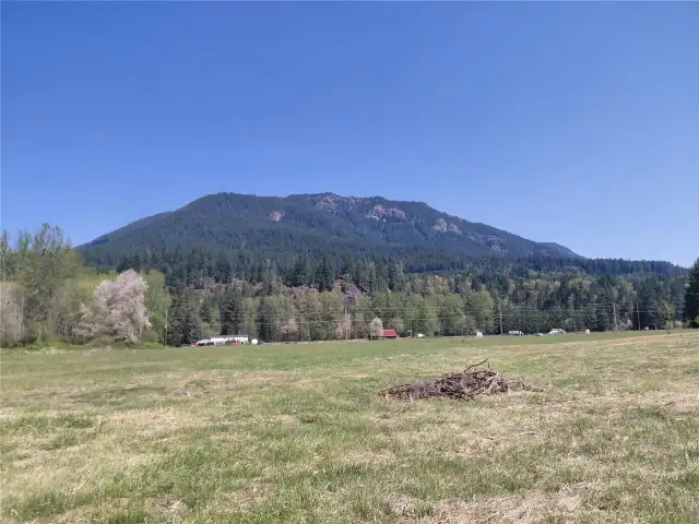 From South West Corner, Looking North