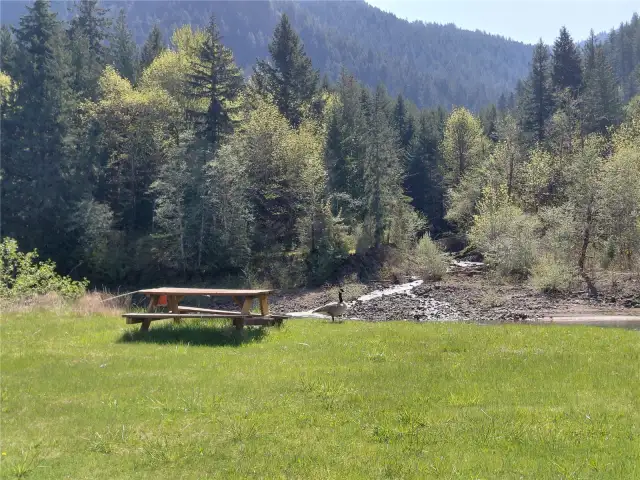 Picnic Area with nearby Portable Toilet
