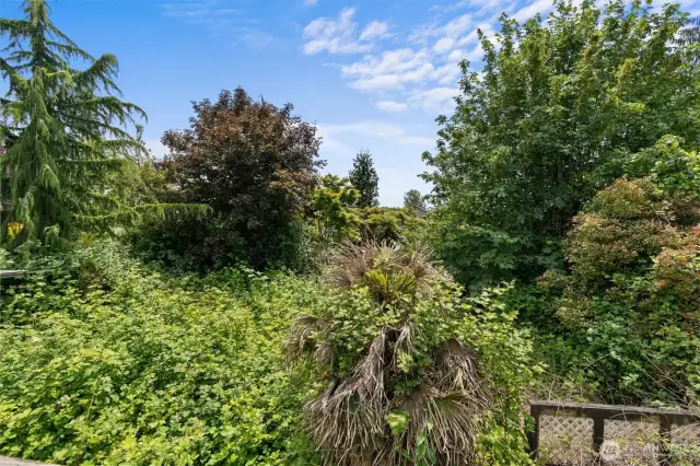 Good sized backyard