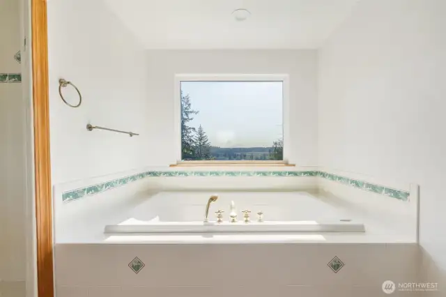 Primary bath with spectacular views of Mt Rainier