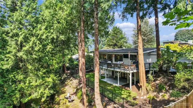 Surrounded by nature with creek below.