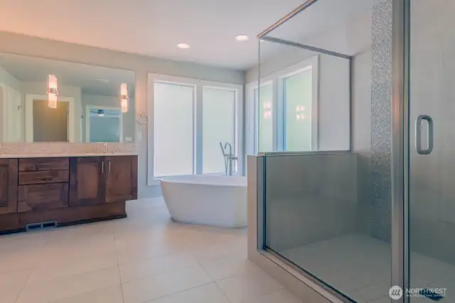 Spa-like primary bathroom large walk in closet