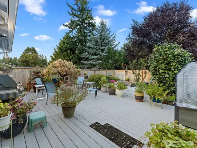 Large trex deck