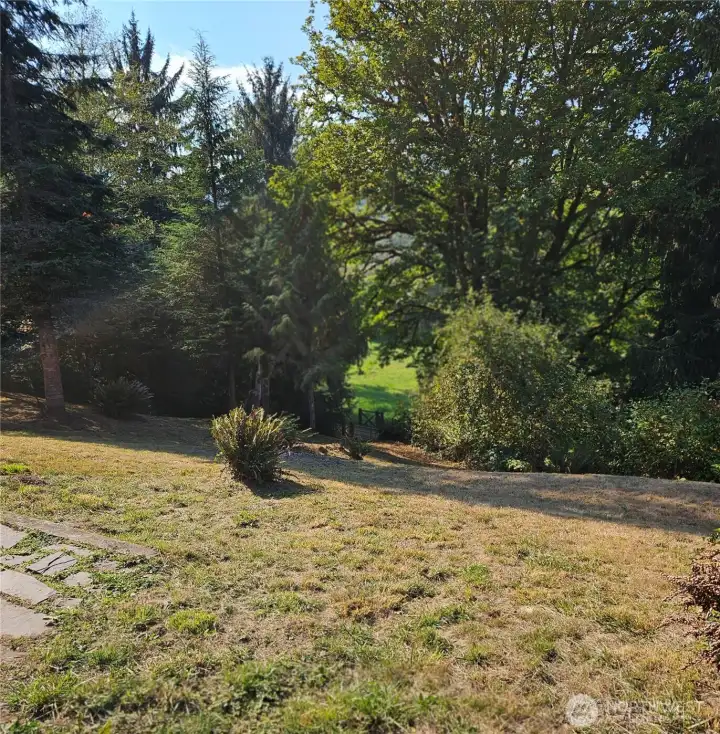Path to Meadows