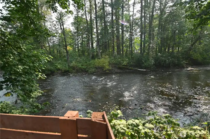 Overlooking the tranquil river.