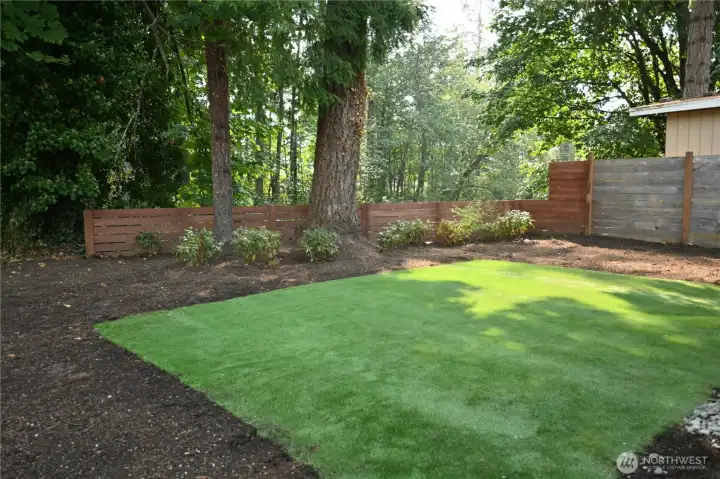 Expansive backyard.
