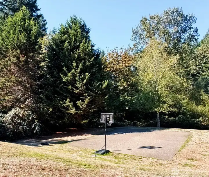 Park behind house