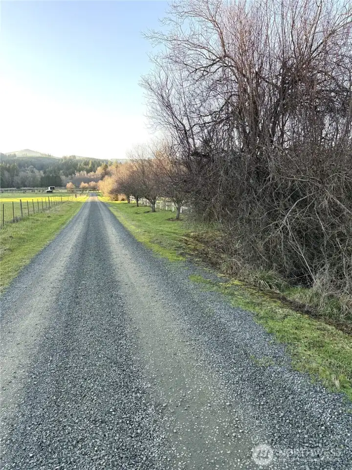 Private Road to your new land!