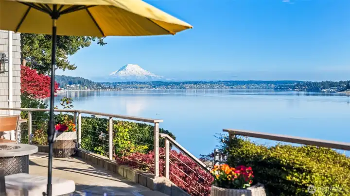 Dramatic, front-row views of Mt. Rainier and the active marine life of Hale Passage.