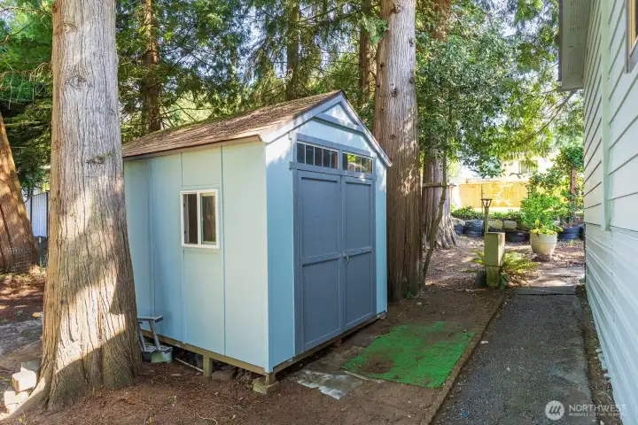 Backyard with shed included