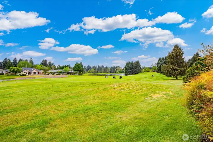 The fairway