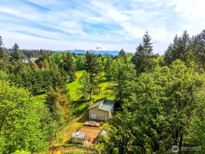 Elevated view of the property showcasing private setting, surrounding greenery, and peaceful Enumclaw landscape.