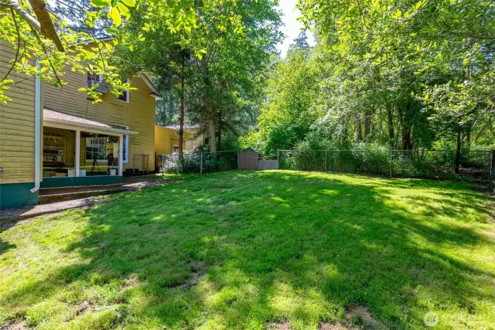 Back yard.