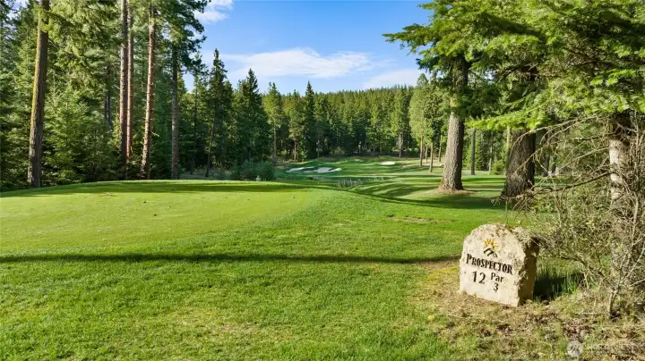 Situated along the Par 3, 12th tee box of Prospector