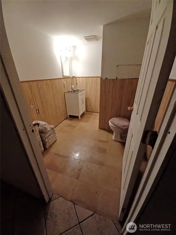 Lower level bathroom
