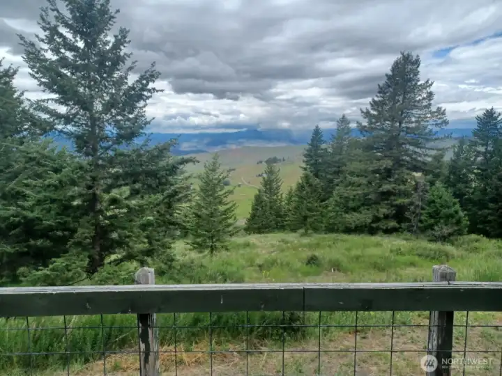 The view from front porch