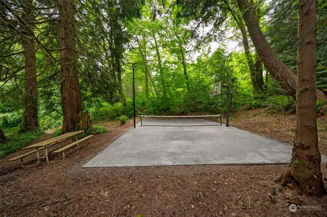 A hidden sport court is equipped with lights for pickleball and basketball, along with a receptacle for music.