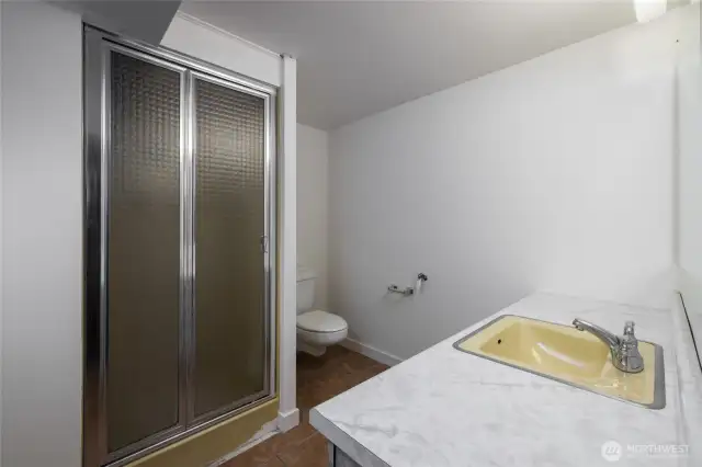 Lower level bathroom with fabulous sink!