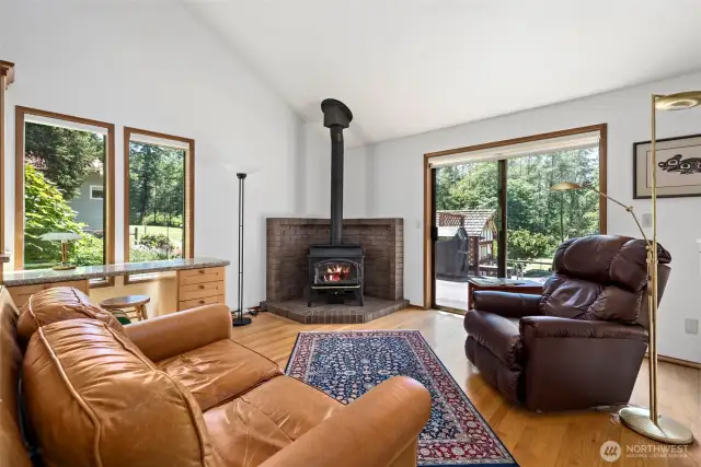 Wood burning stove for cozy winter evenigs