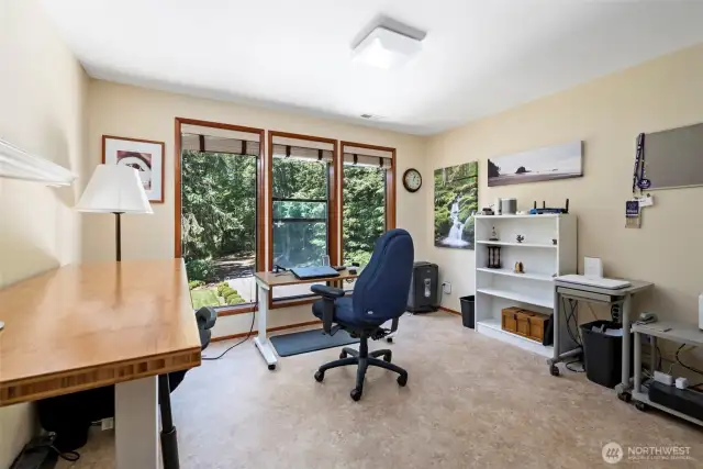 Guest bedroom presently used as an office