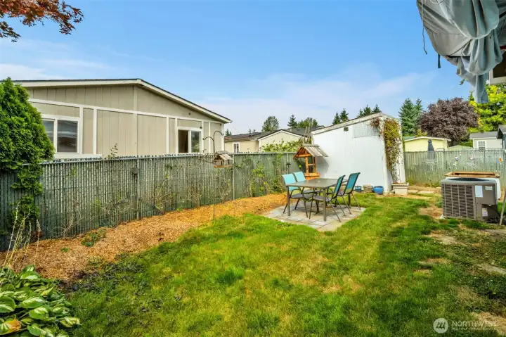 Side yard in the fenced backyard