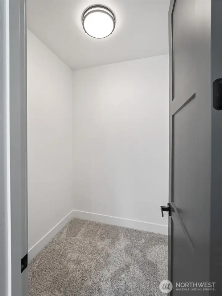 Downstairs bedroom walk-in closet.