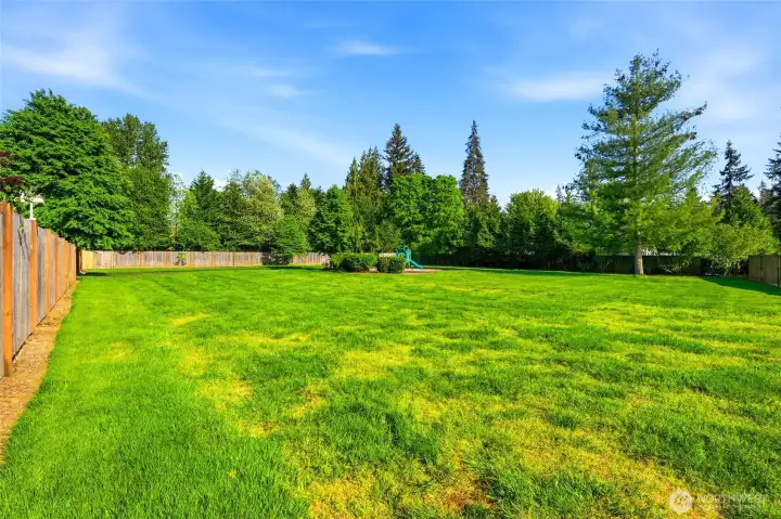 Large community park behind the backyard...ideal for play, pets, or open space.