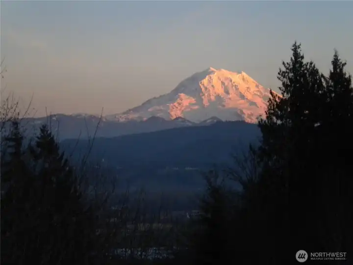 From 2014, there would need to be some trees removed to regain a full Mtn. view From 2014, there would need to be some trees removed to regain a full Mtn. view