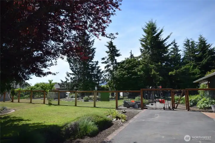 driveway to left side yard driveway to left side yard