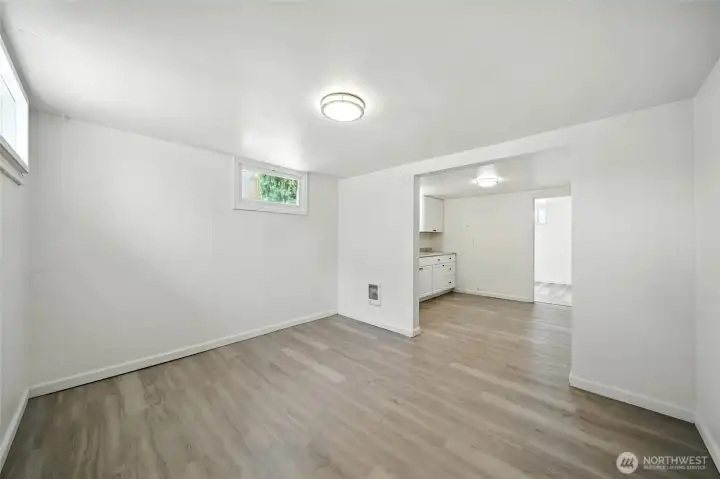 Basement Living Room