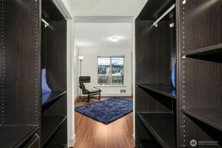 Huge closet with built-ins