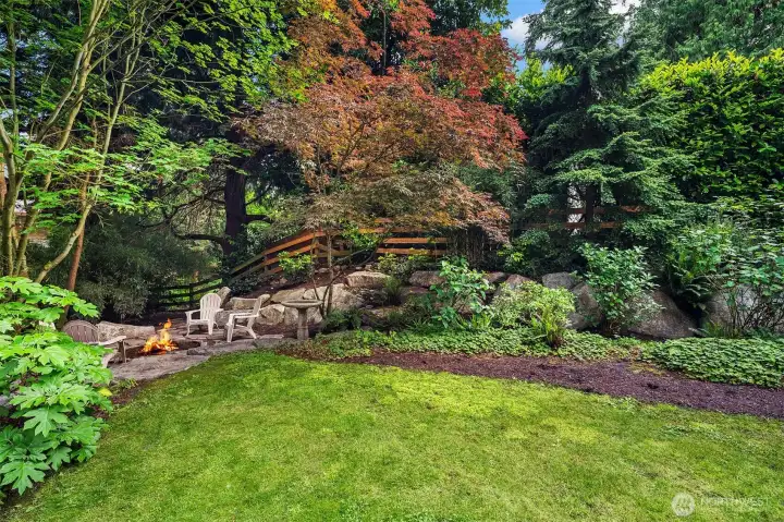 Lawn surrounded by gardens with very special specimens of plants Lawn surrounded by gardens with very special specimens of plants