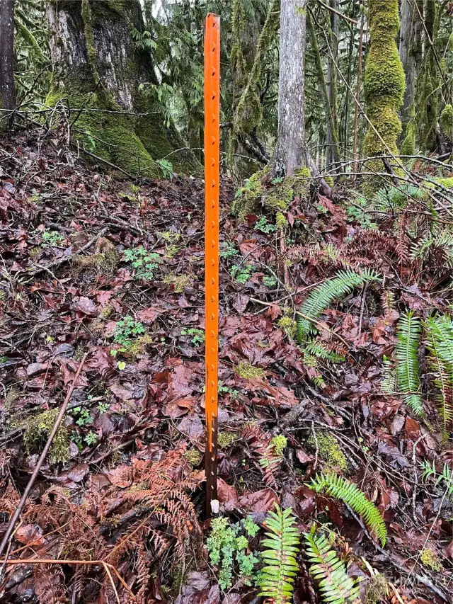 Property Stake