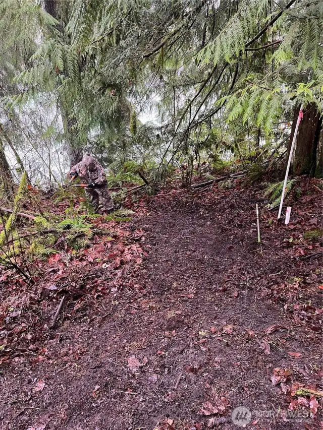 Trail