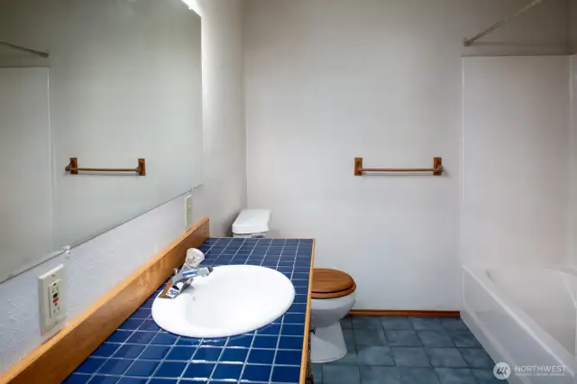 Lower level full bathroom.