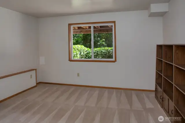 Lower level 3rd bedroom.