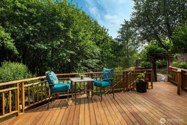 Peaceful vantage from the deck.
