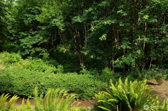 Garden & forest provide year-round scenery.