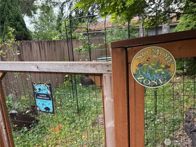 The fully fenced backyard is a low-maintenance, no-mow zone—lush with green clover for a soft, natural look that’s both sustainable and pet-friendly.