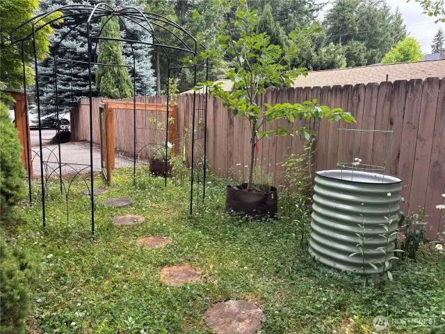 A whimsical black wire gazebo adds to the garden charm, while raised beds offer a perfect canvas for flowers, herbs, or vegetables—truly a gardener’s delight tucked into a peaceful backyard escape.