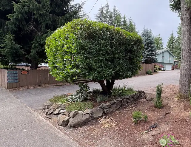 Tucked away in a quiet enclave of just four homes, this small complex offers rare privacy and a true sense of retreat—while still being close to everyday essentials.